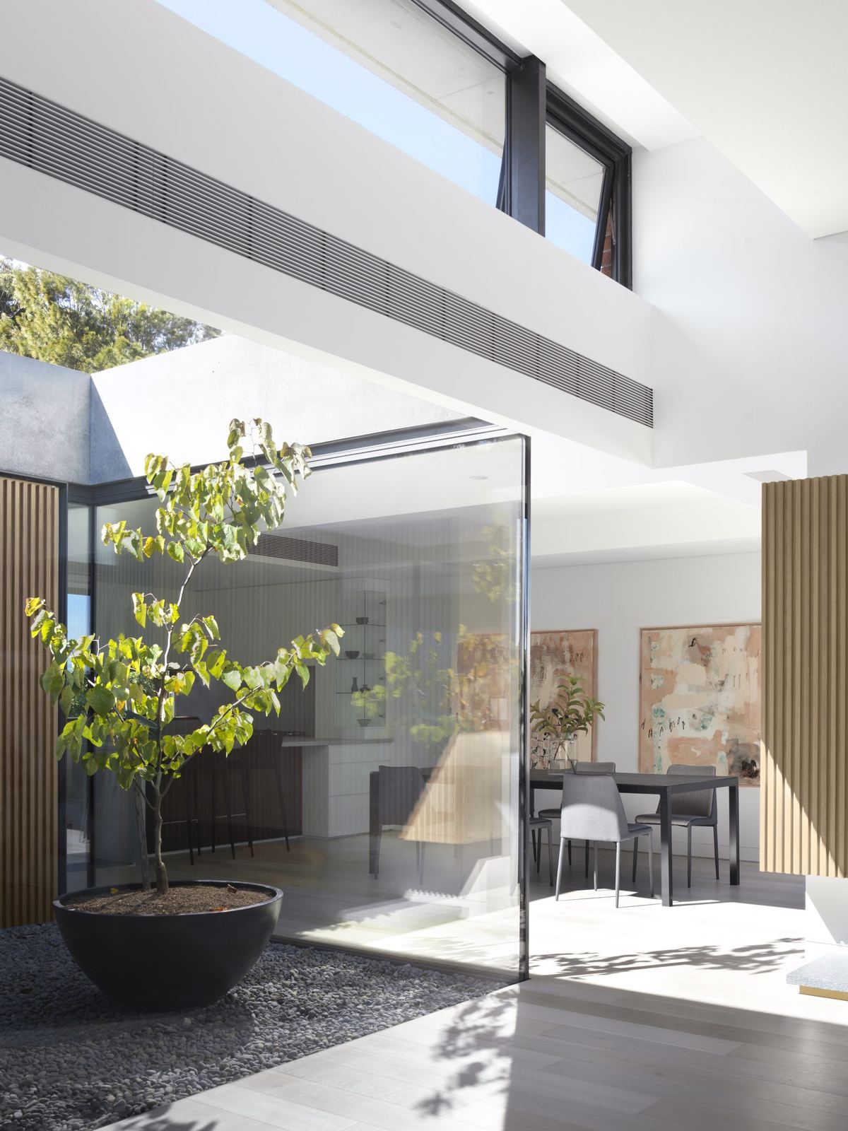 Castle Cove, glazed internal courtyard with potted tree beside dining area, built by HP Constructions with Dieppe Design