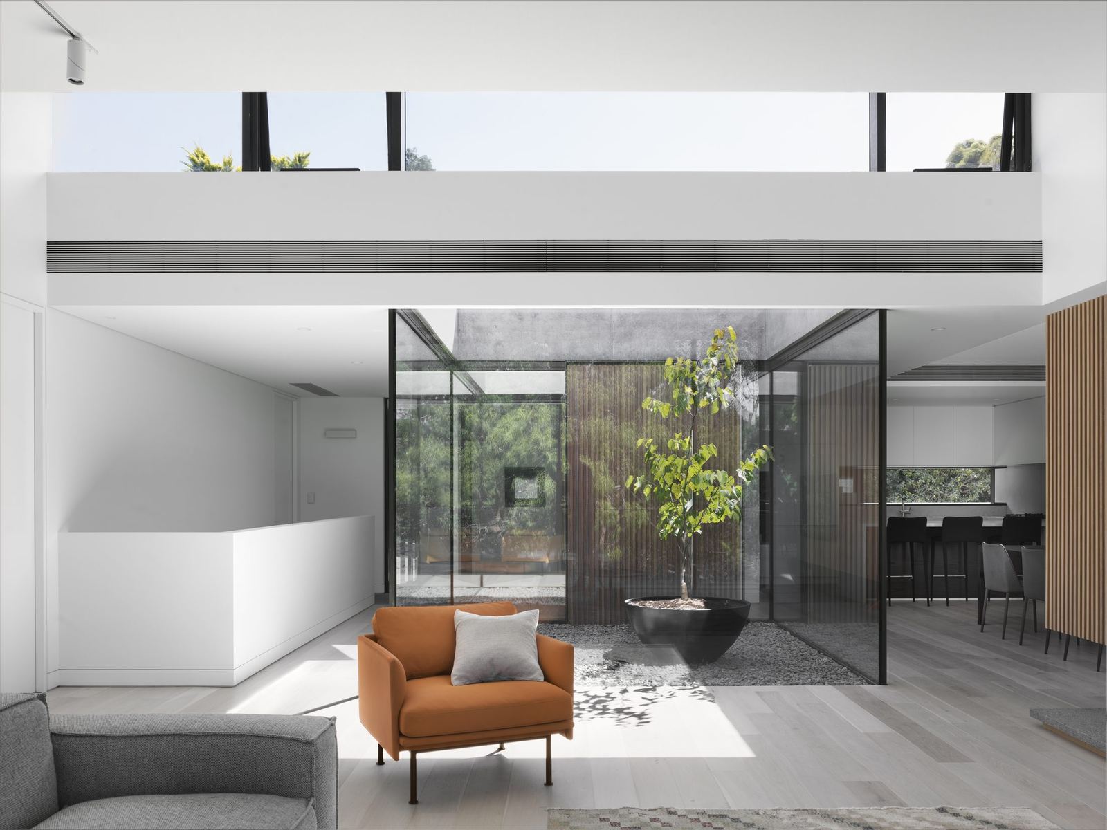 Castle Cove, open living space around glazed internal courtyard with potted tree, built by HP Constructions with Dieppe Design