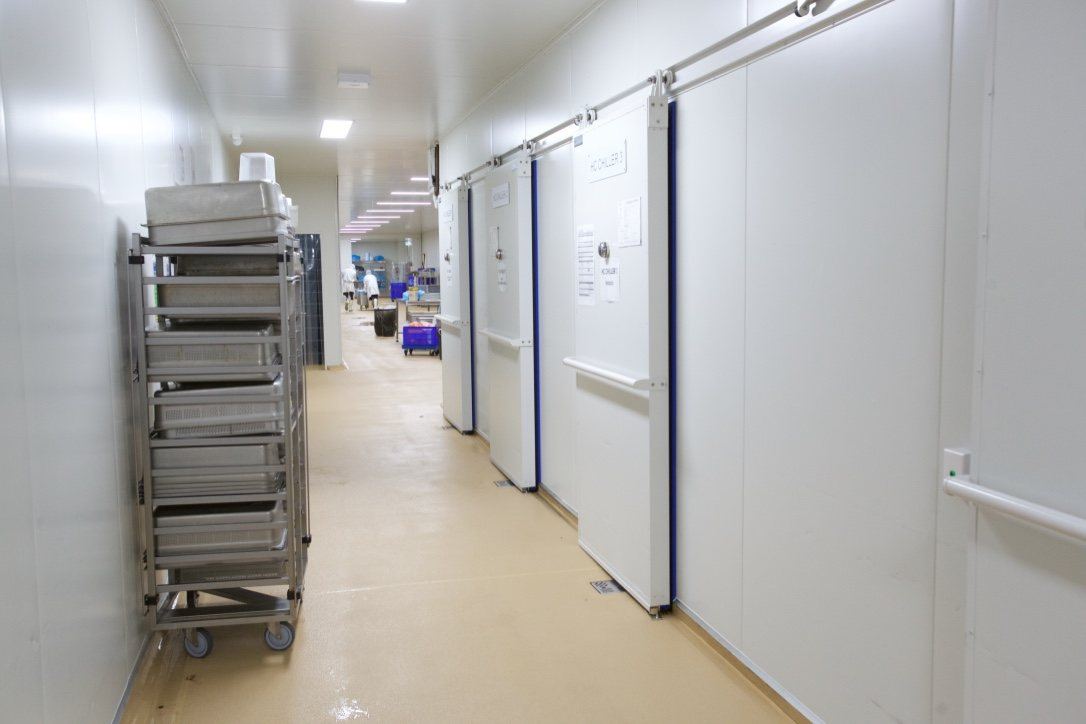Kitchen Food Company, cold-store corridor with stainless trolleys and sliding doors, built by HP Constructions